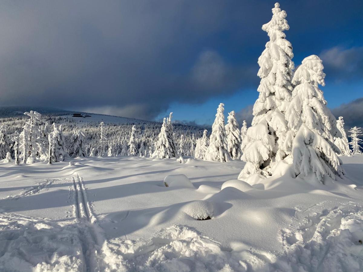 Savoy Exclusive Mountain Apartment Szpindlerowy Młyn Zewnętrze zdjęcie